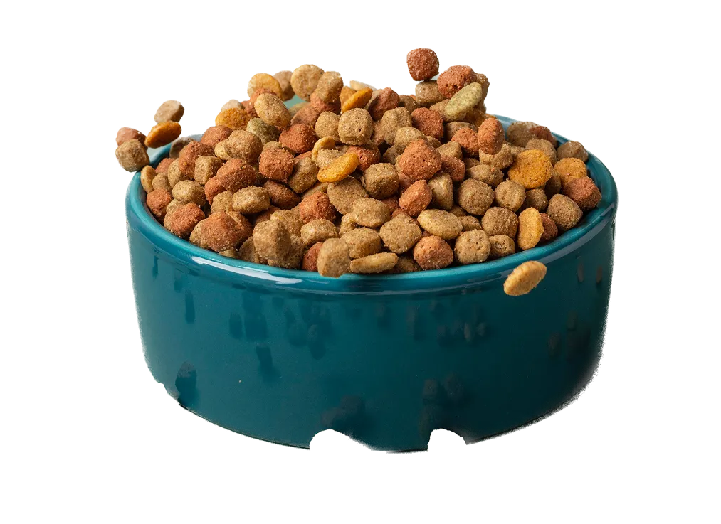 Dry Food plate
